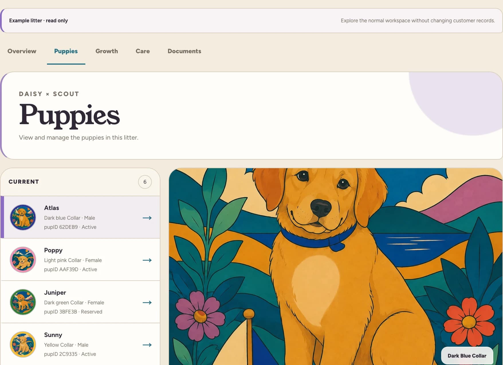 Example Puppies view with four puppy identity rows and a larger illustrated portrait of Atlas.