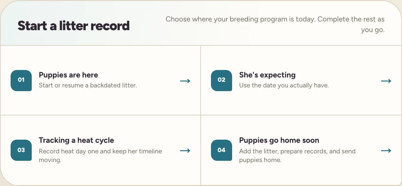 Litter setup starting points for puppies already born, an expected litter, a heat cycle, or puppies going home.