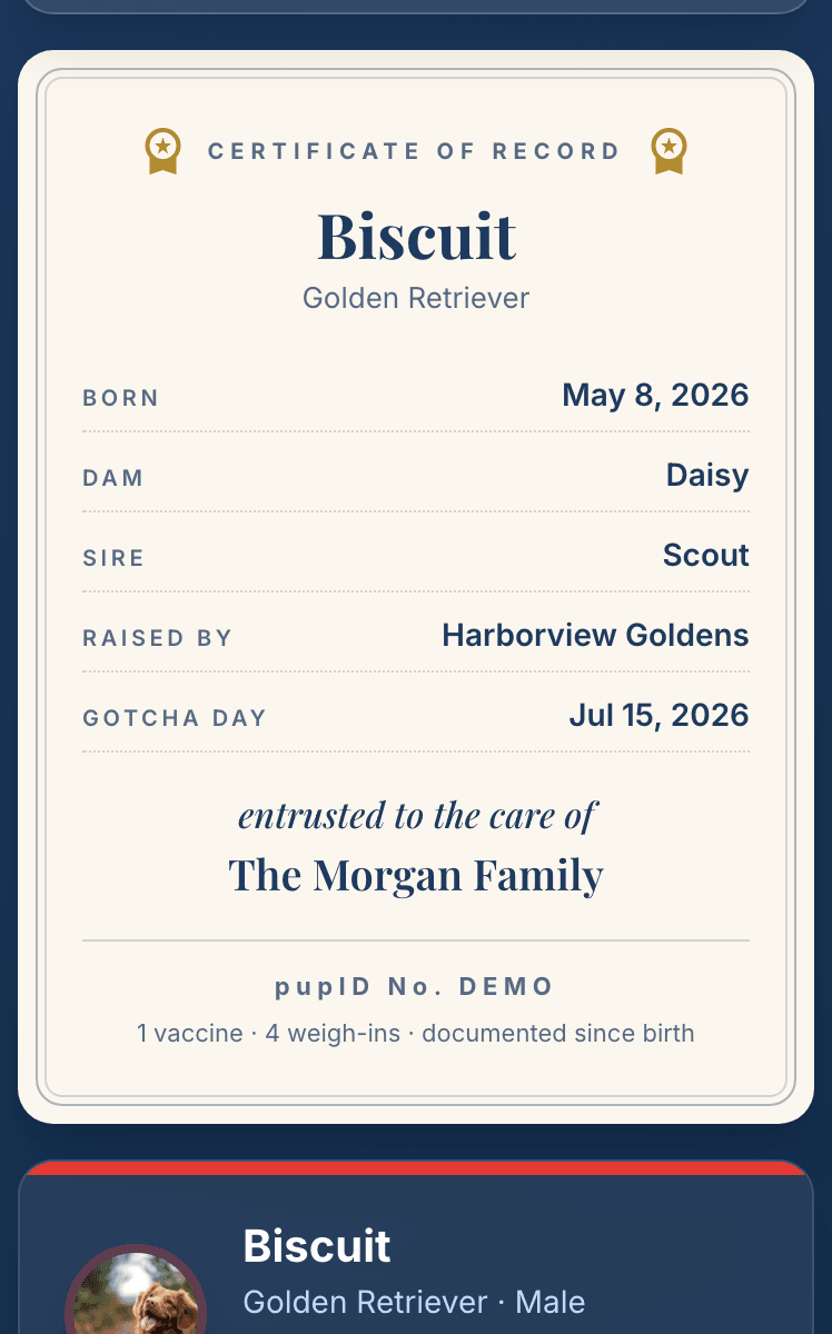 A go-home certificate on a phone welcoming a puppy to its new family by name