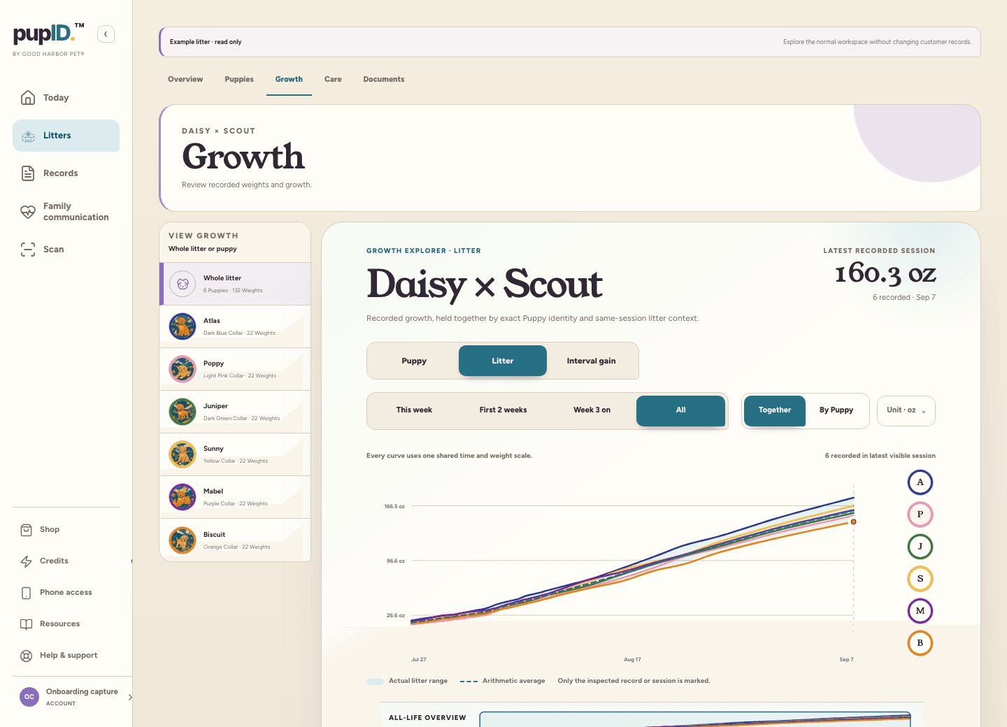 Example pupID litter growth page with individual puppy weight lines