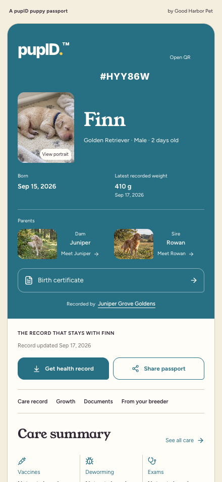 Finn’s example shared passport, with photo, parents and care summary