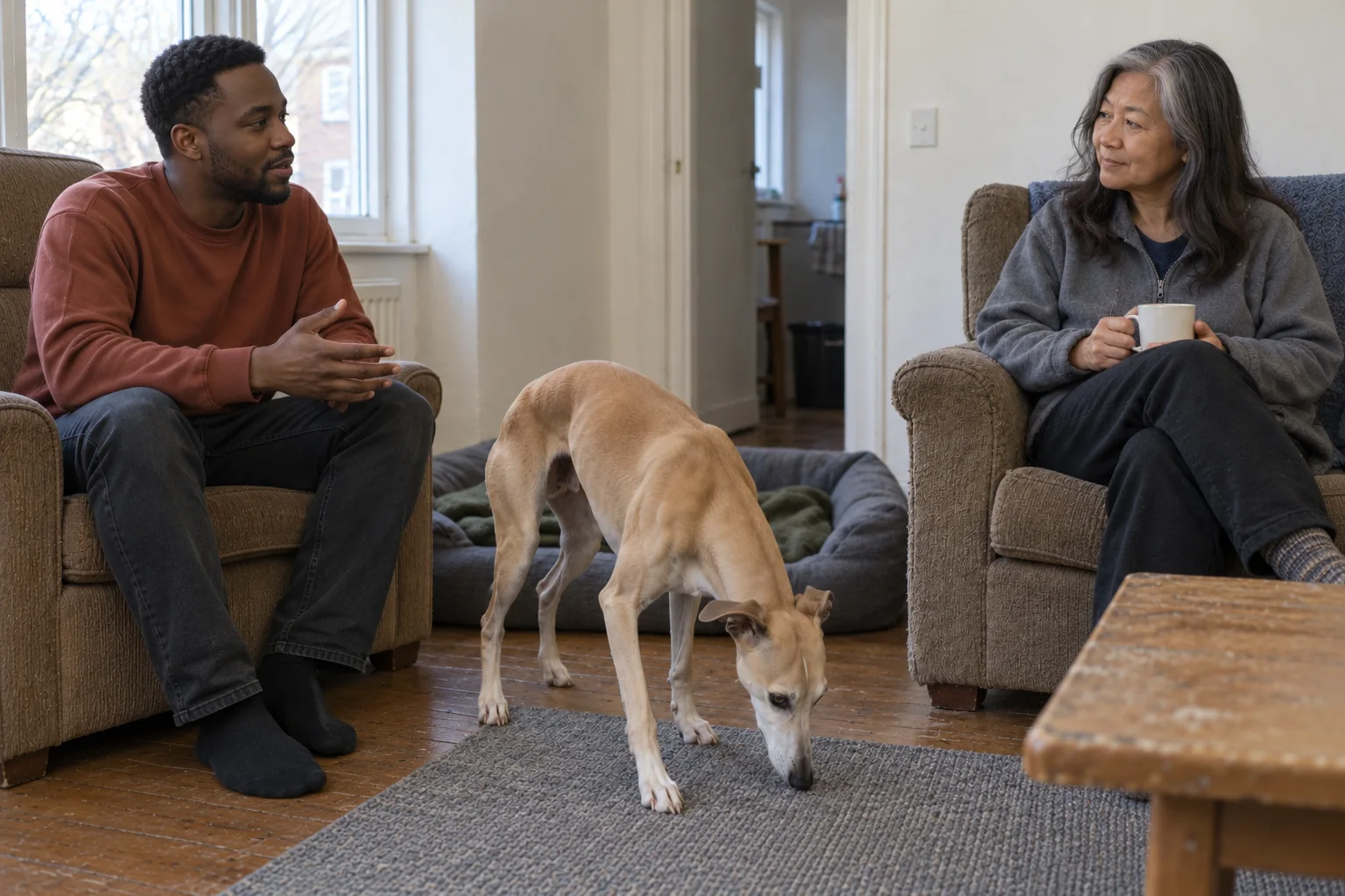 Two caregivers sit talking in a plain room while an adult Whippet calmly sniffs a rug away from them.