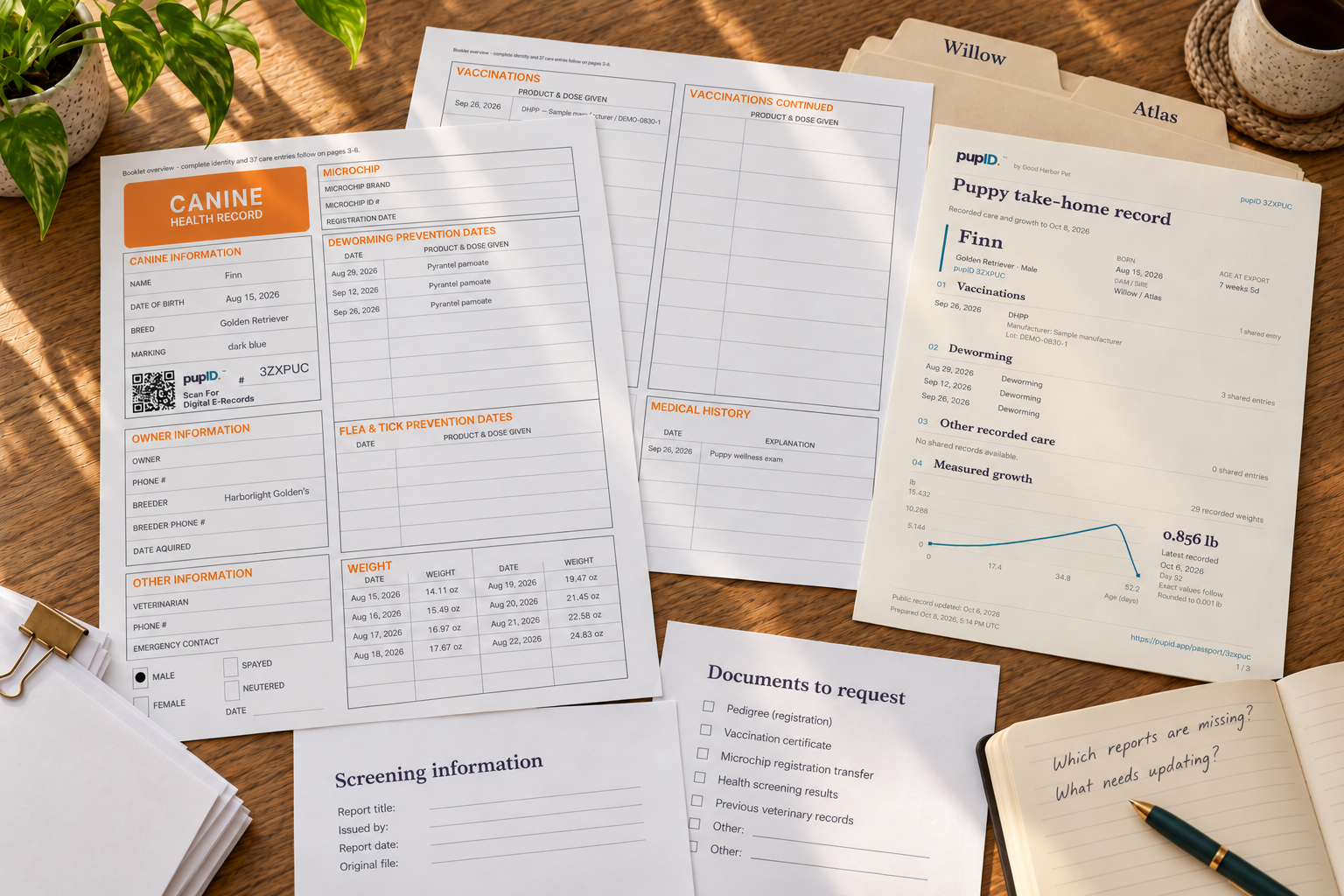 Finn’s filled pupID record pages on a wooden table with folders for Willow and Atlas, unbranded screening information, a document-request sheet and handwritten questions.