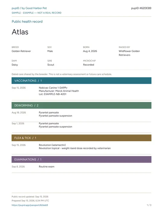 Atlas’s example health record, ready to print