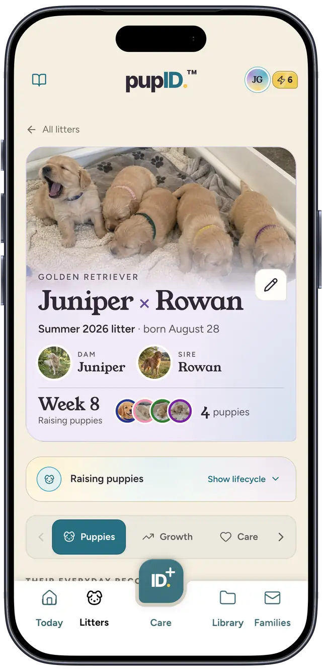 The Juniper × Rowan example litter in pupID, with its litter photo, both parents, week 8 and all four puppies, displayed in a blue iPhone
